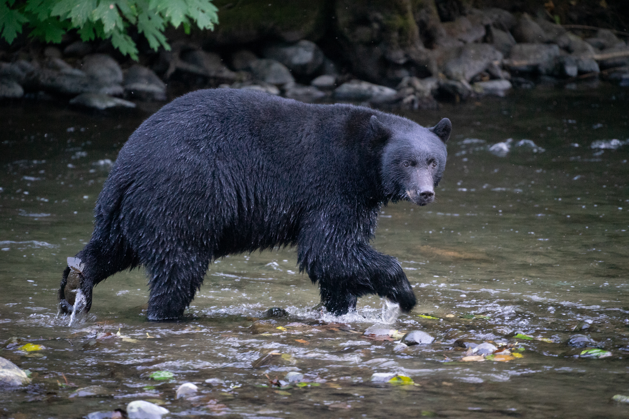 Pre-trip checklist for a seamless Canadian adventure