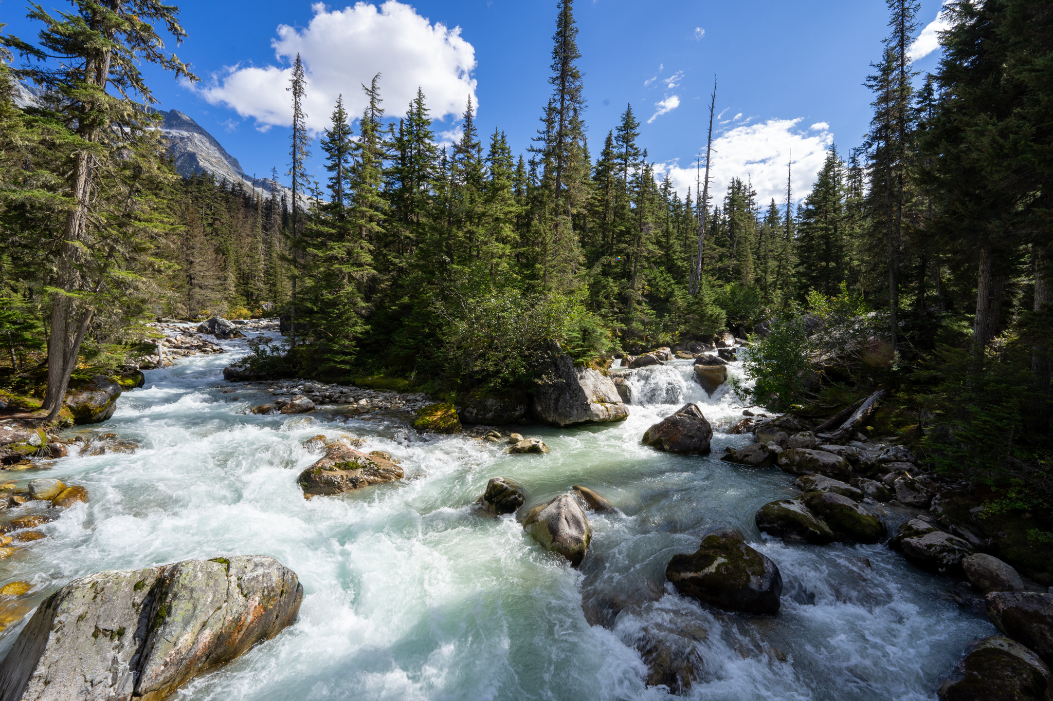 Navigating the seasons for your Canadian National Parks adventure