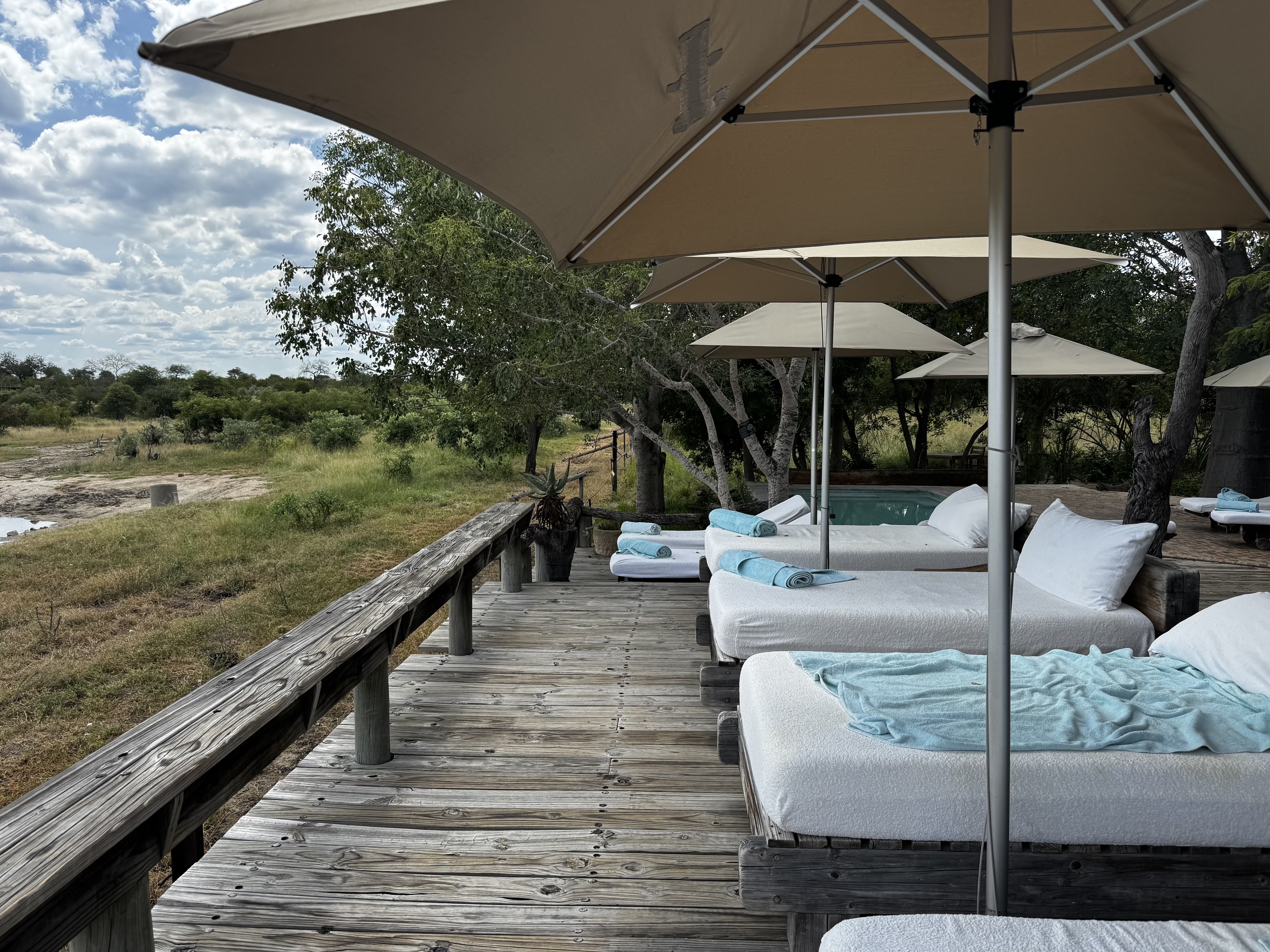 Which South Africa Road Trip Is Right for You?